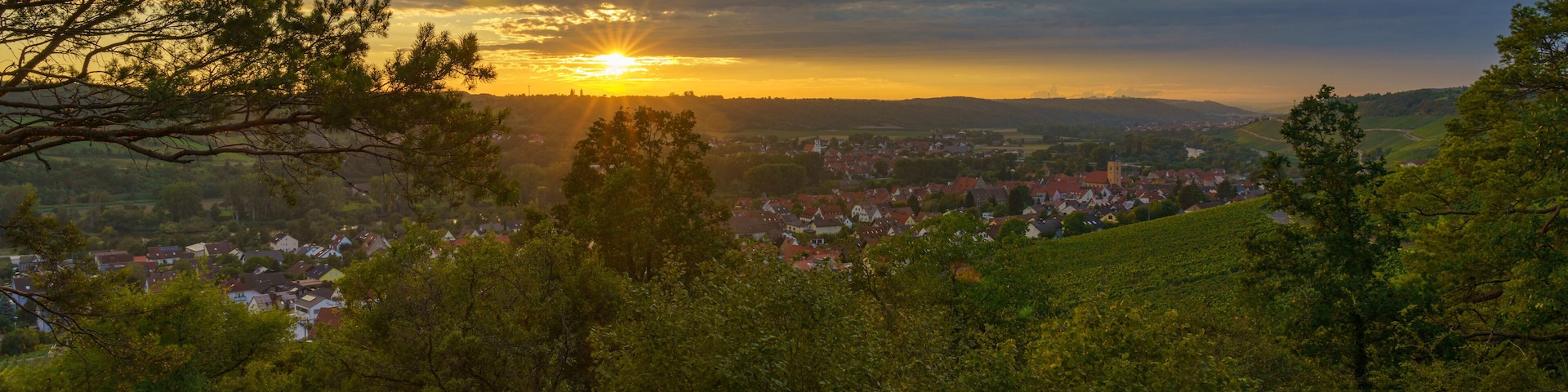 Weinberge bei Sommerhausen am Main im Abendlicht, Landkreis Würzburg, Franken, Unterfranken, Bayern, Deutschland