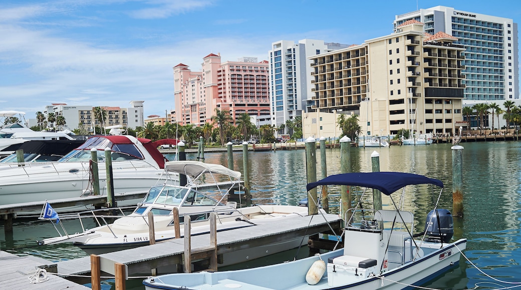 Clearwater_ClearwaterMunicipalMarina_6180121_04