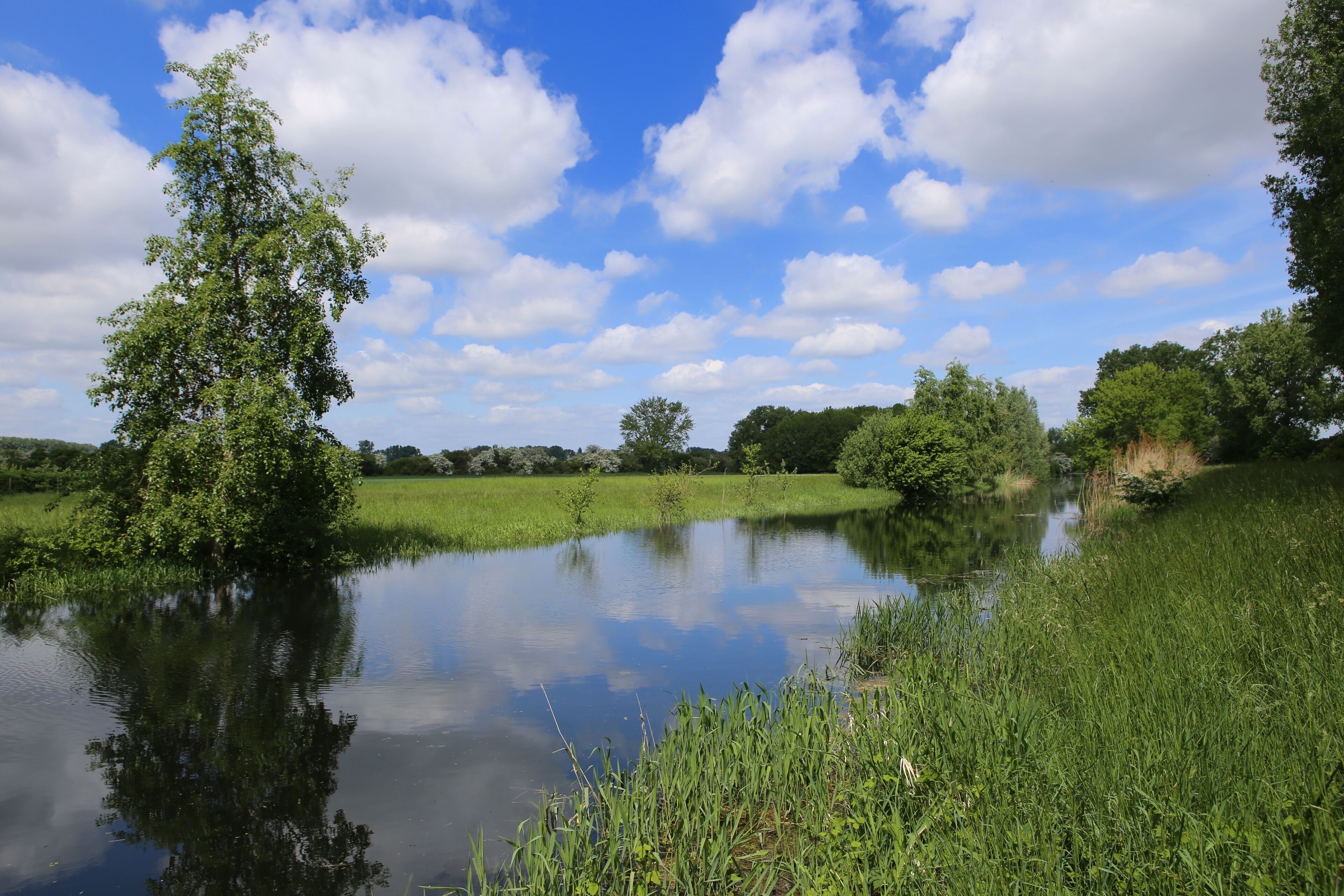 Schwarzbach bei Astheim