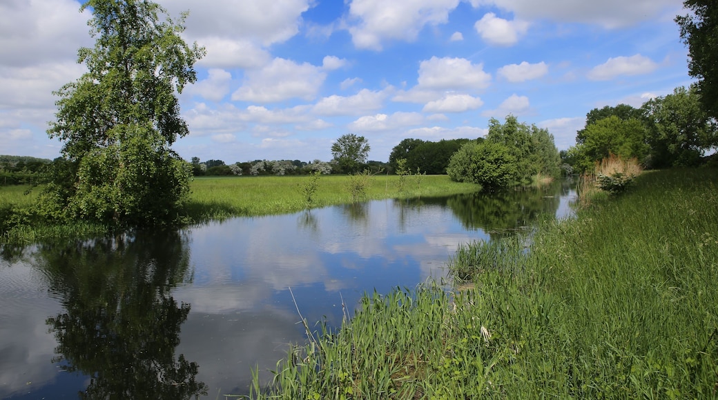 Schwarzbach bei Astheim