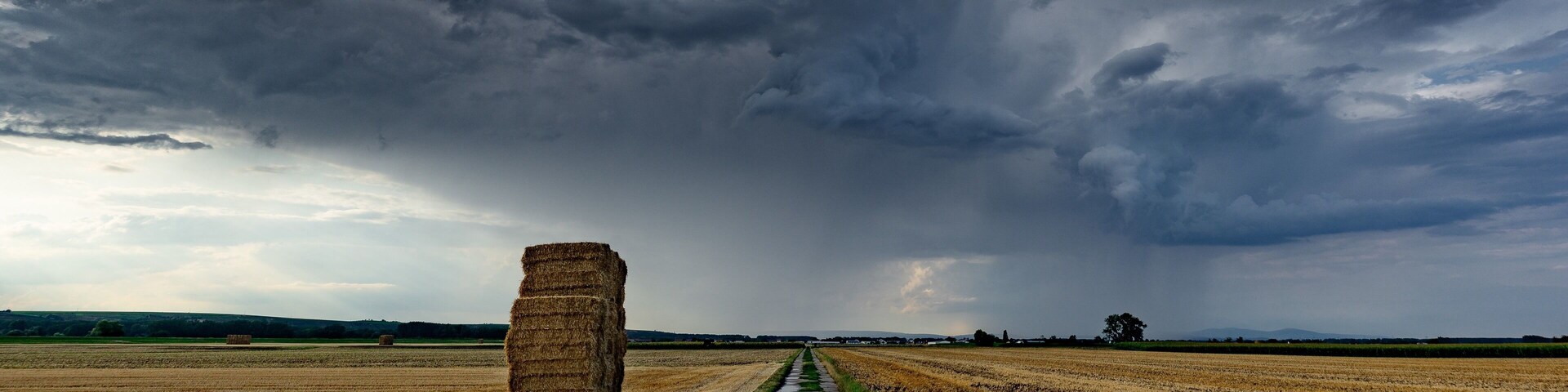 Between Kornsand and Geinsheim