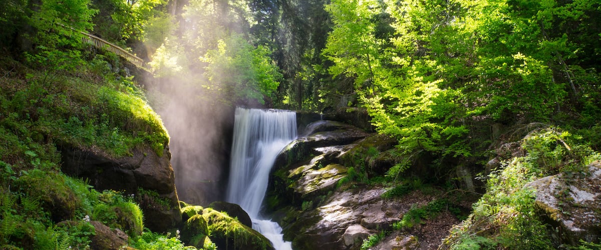 Een waterval omgeven door weelderige begroeiing en rotsen begroeid met mos.