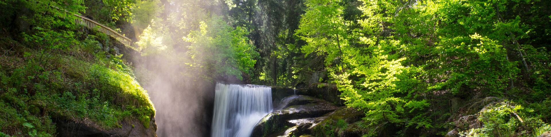 A waterfall surrounded by lush greenery and moss-covered rocks.