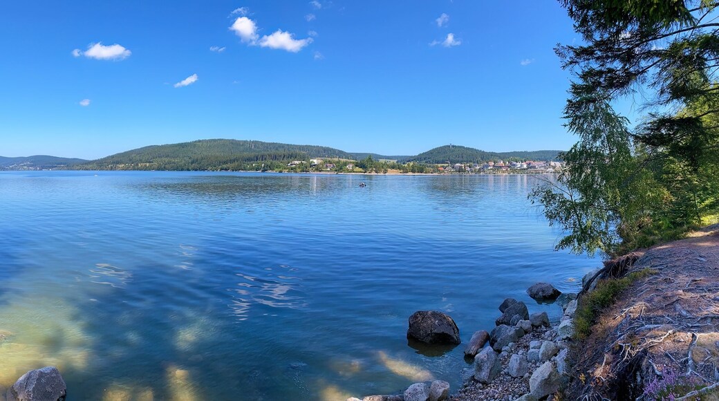 Ühlingen-Birkendorf