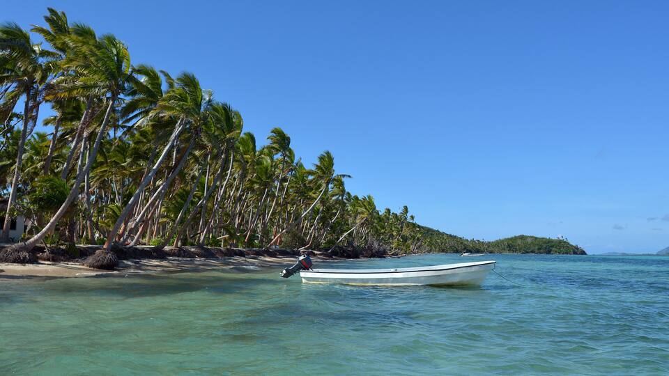 A beach with palm trees and a boat.