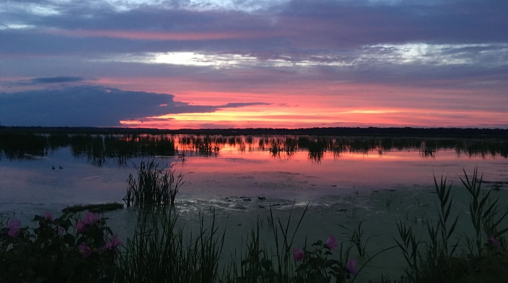 I highly recommend a sunset drive through the refuge, you'll be glad you did!