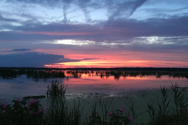 A sunset over a calm lake with reflections of the sky, surrounded by reeds and flowers.