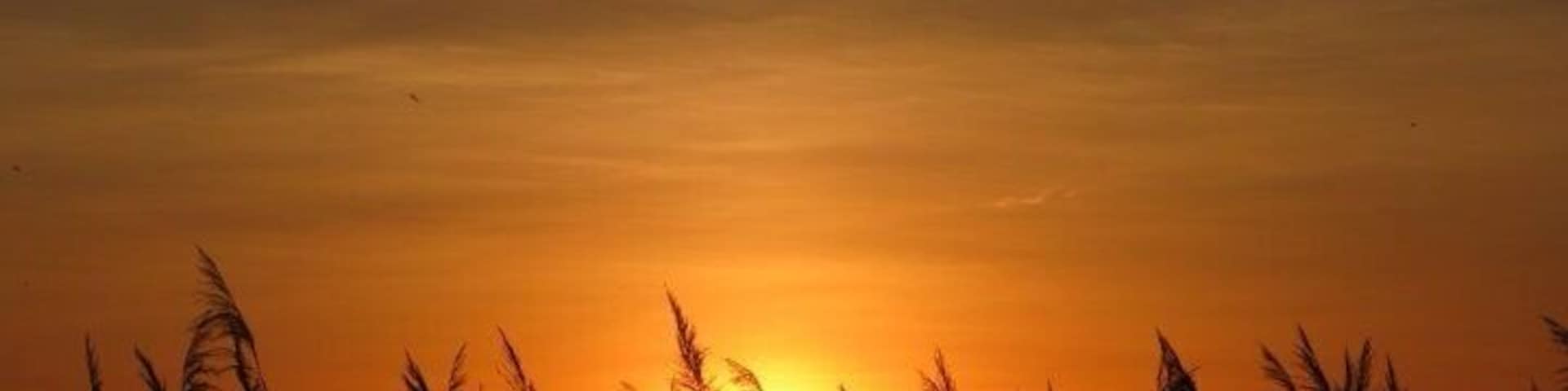 sunset at Montezuma.
#goldenhour