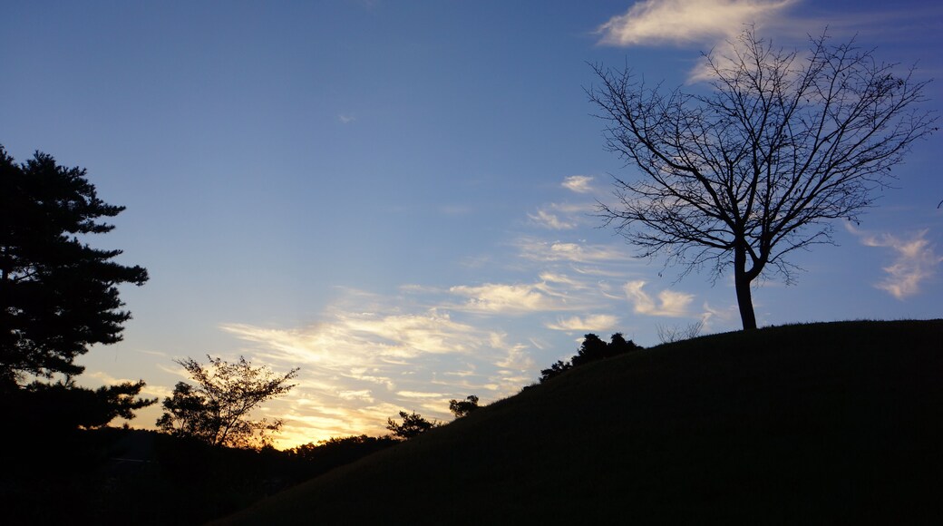 Hiroshima Airport Hotel 廣島機場飯店