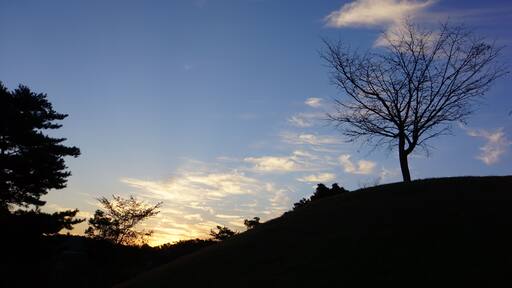 Hiroshima Airport Hotel 滣泶æ©ć ŽéŁŻćș