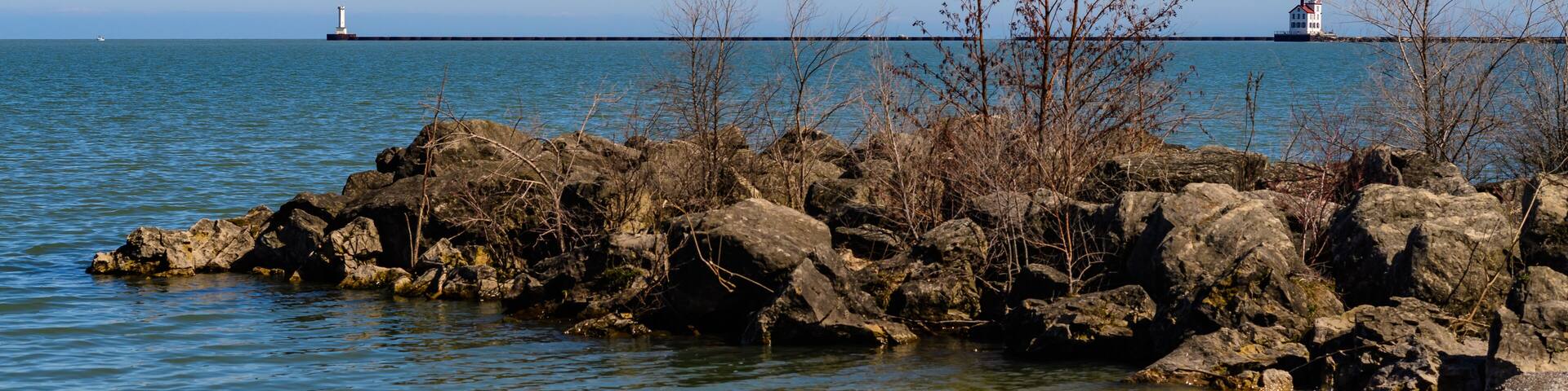 Shore with stones and small vegetation on the sandy beach of Lake Erie, Ohio