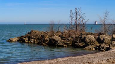 Shore with stones and small vegetation on the sandy beach of Lake Erie, Ohio