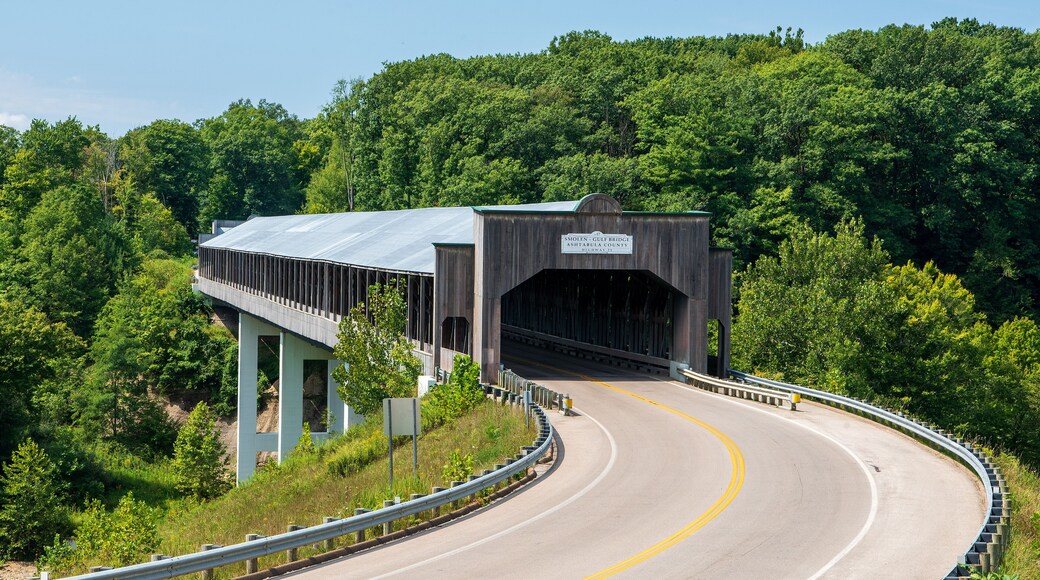 Puente cubierto Smolen-Gulf