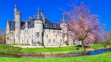 A historic castle with multiple towers, a river, and blooming cherry trees.