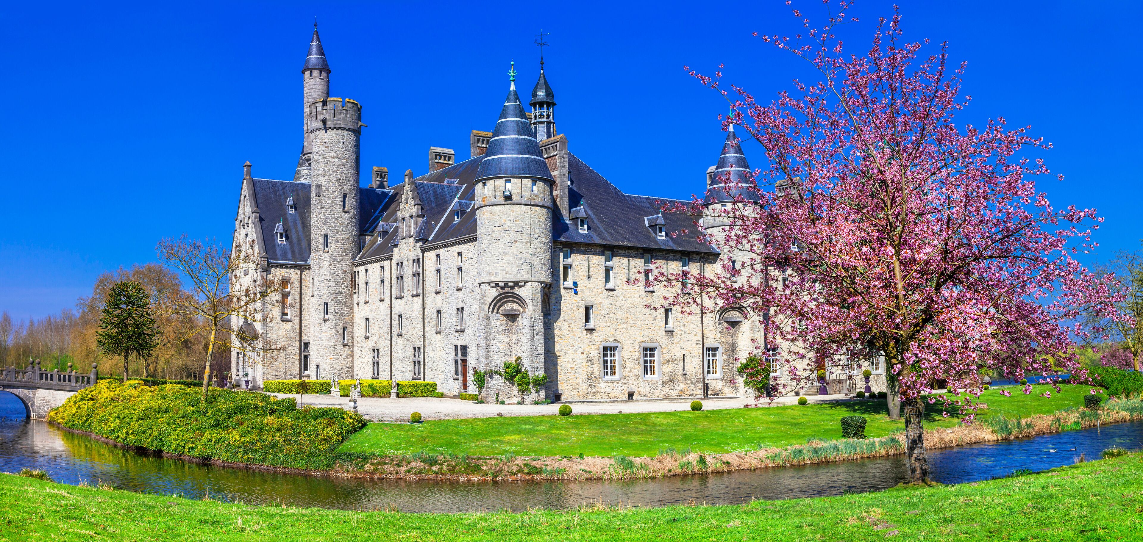 A historic castle with multiple towers, a river, and blooming cherry trees.