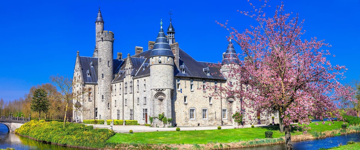 A historic castle with multiple towers, a river, and blooming cherry trees.