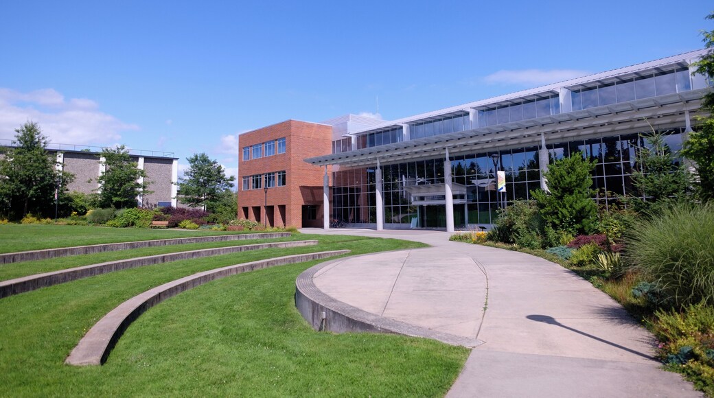 Universidad de Concordia