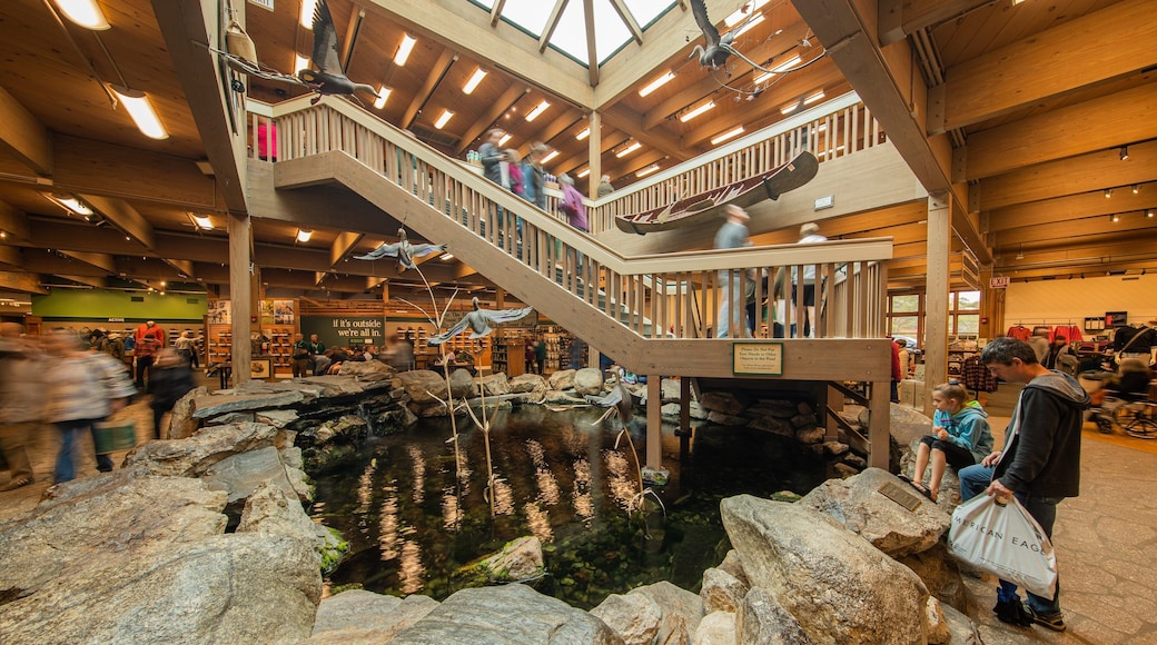 LL Bean Flagship Store featuring a pond and interior views as well as a family