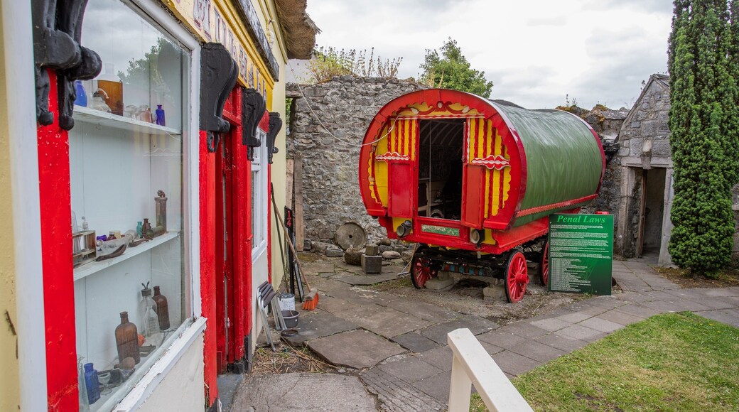 Cashel Folk Village showing heritage elements