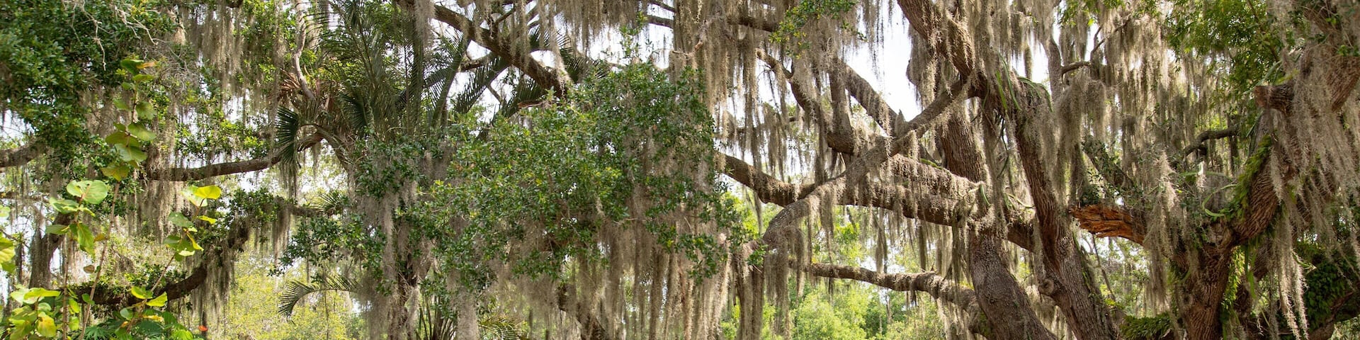 Desoto Lakes which includes a house