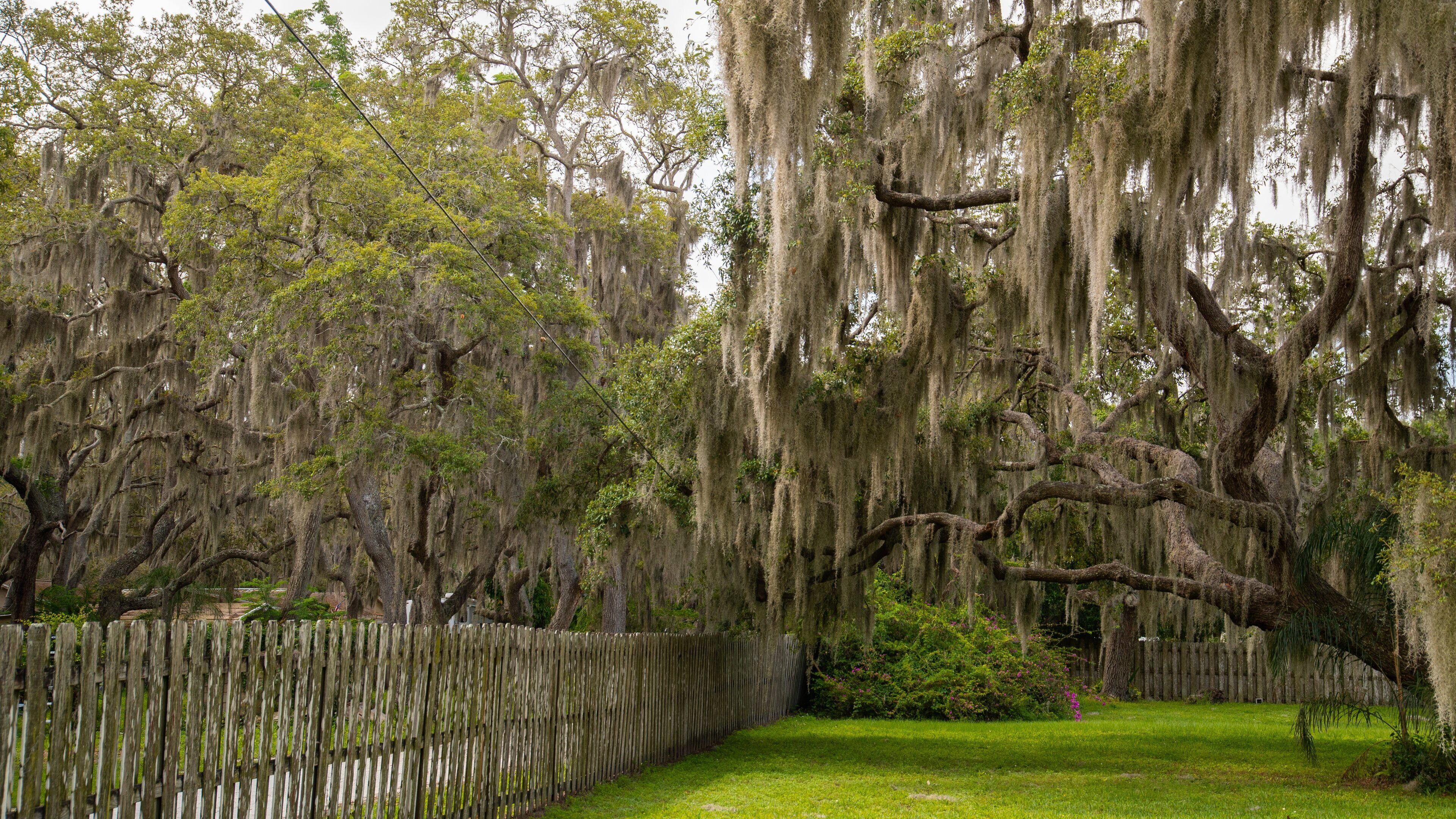 Desoto Lakes which includes a garden