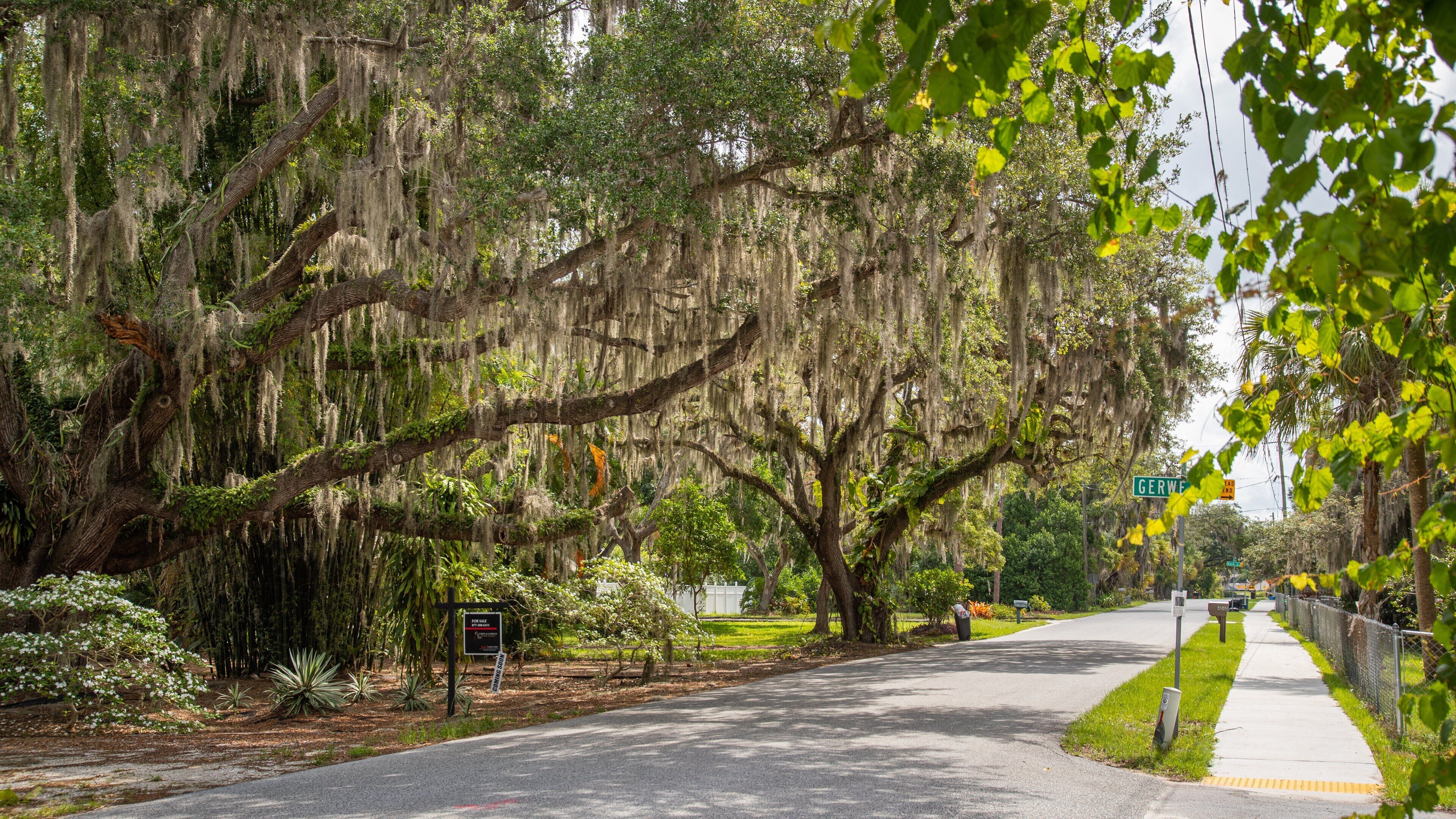 Desoto Lakes which includes a park