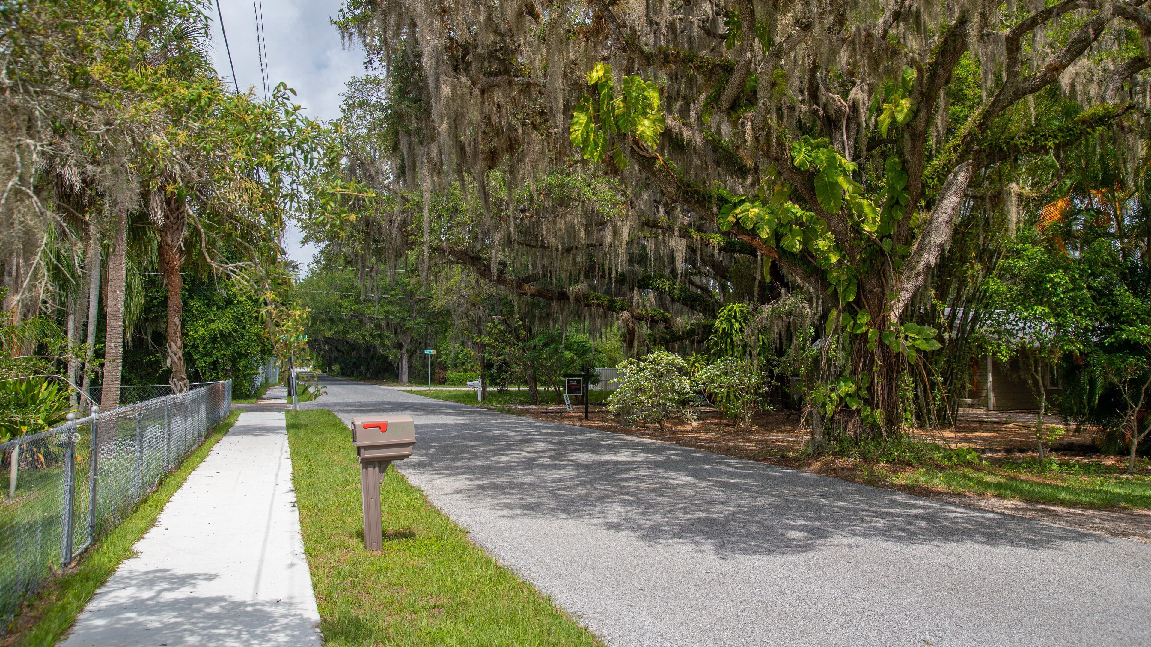 Desoto Lakes showing a garden