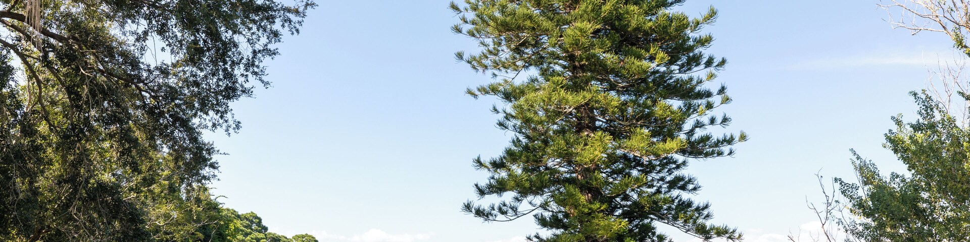 SiestaKey_SarasotaSprings_6180475-2