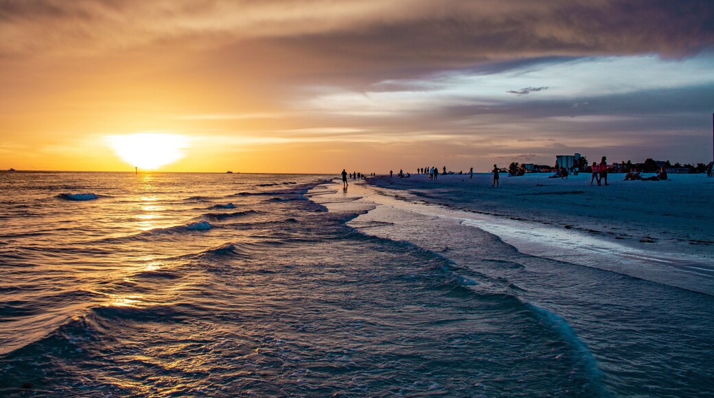 Sarasota Springs