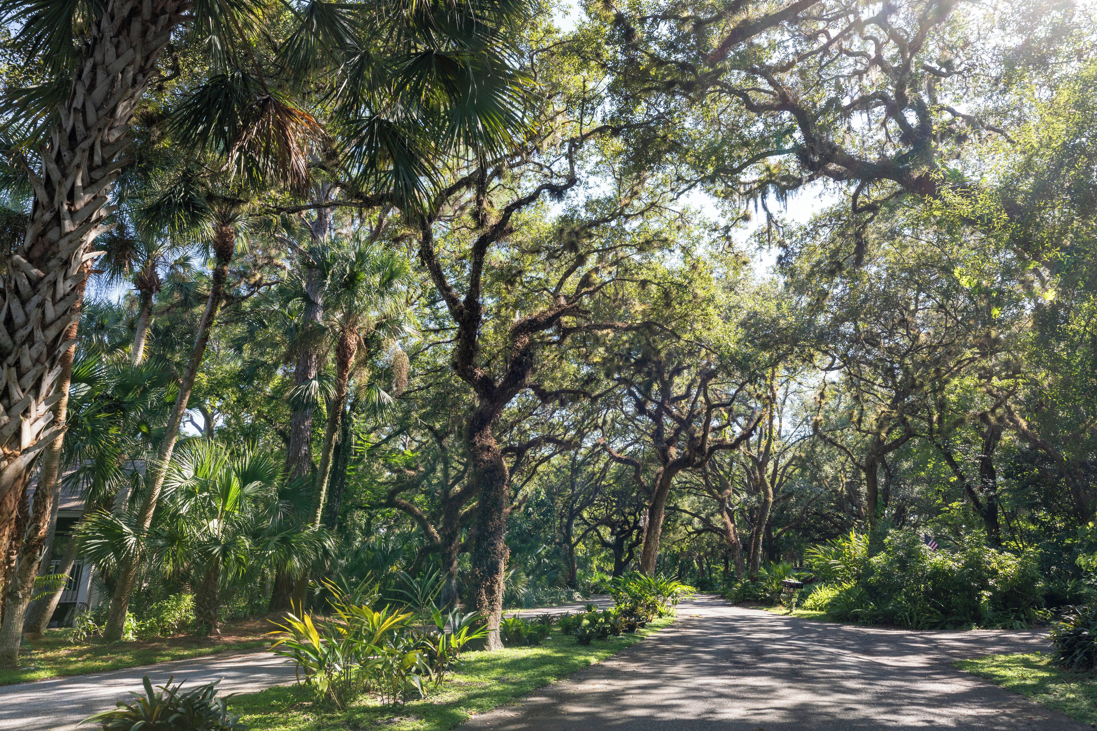 SiestaKey_SarasotaSprings_6180475-1