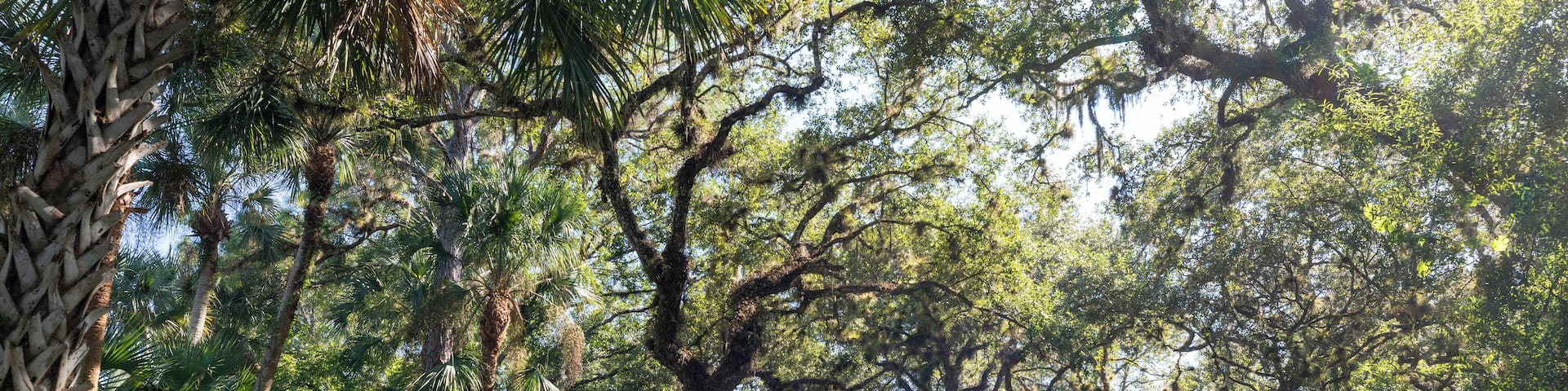 SiestaKey_SarasotaSprings_6180475-1