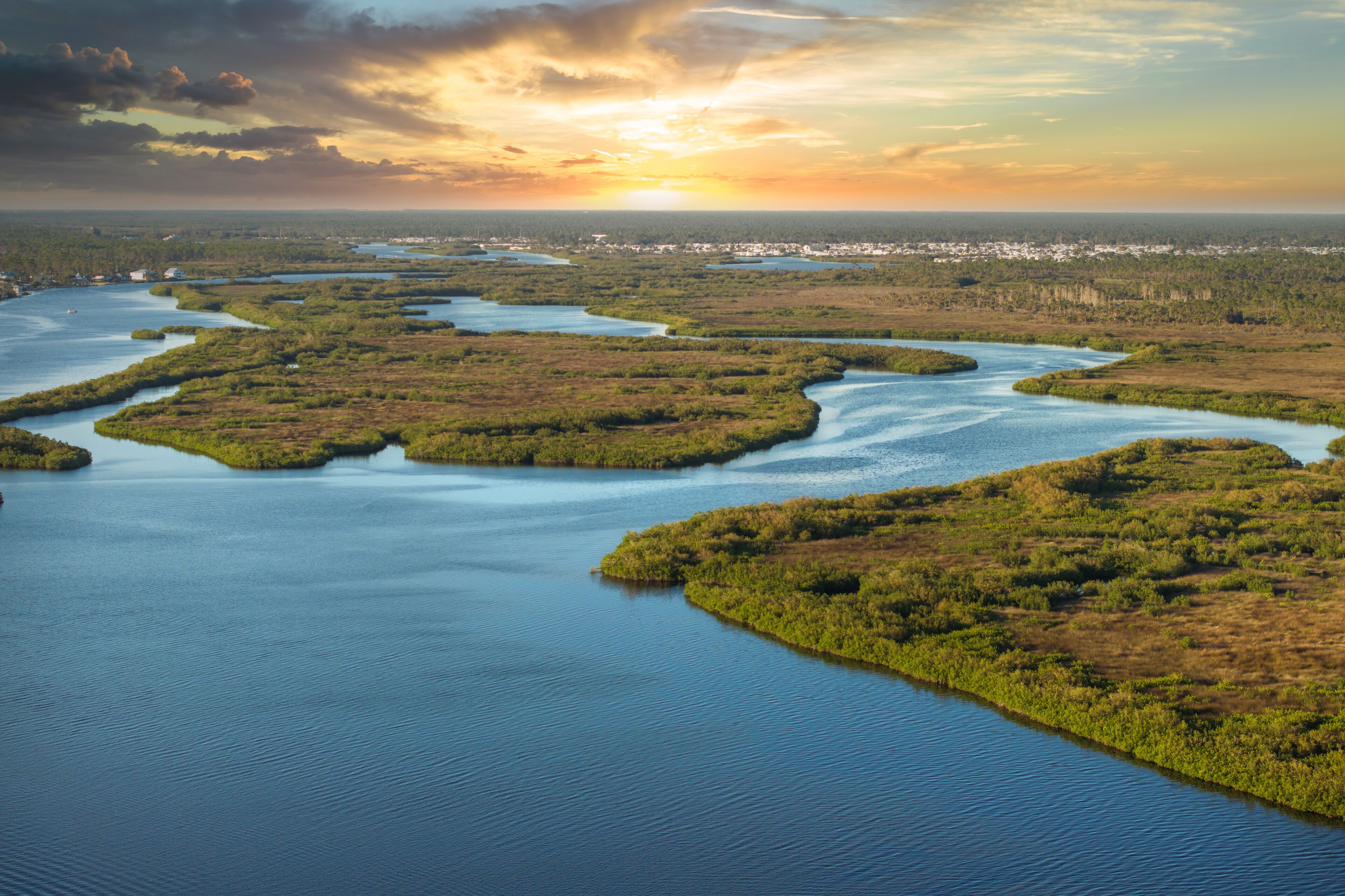 Myakka river in North Port, Florida. Subtropical swamp with wild vegetation in southern USA