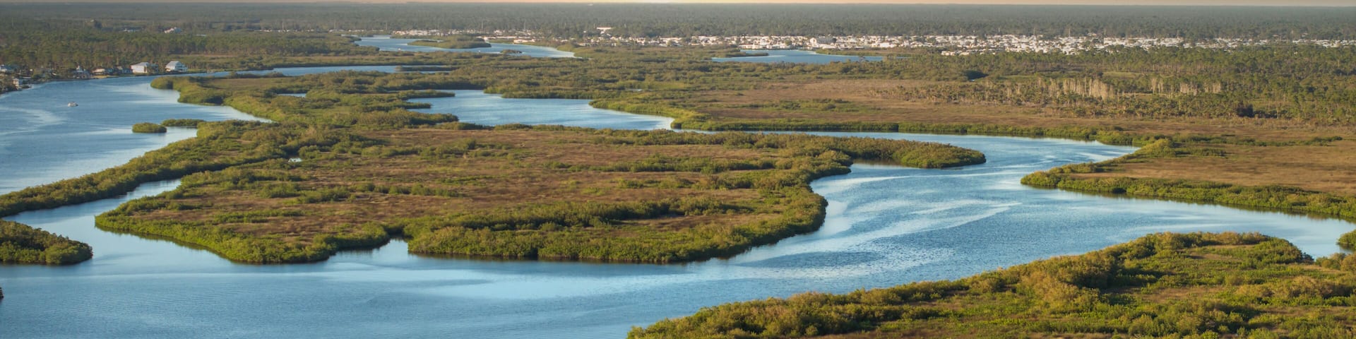 Myakka river in North Port, Florida. Subtropical swamp with wild vegetation in southern USA