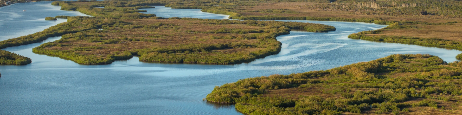 Myakka river in North Port, Florida. Subtropical swamp with wild vegetation in southern USA