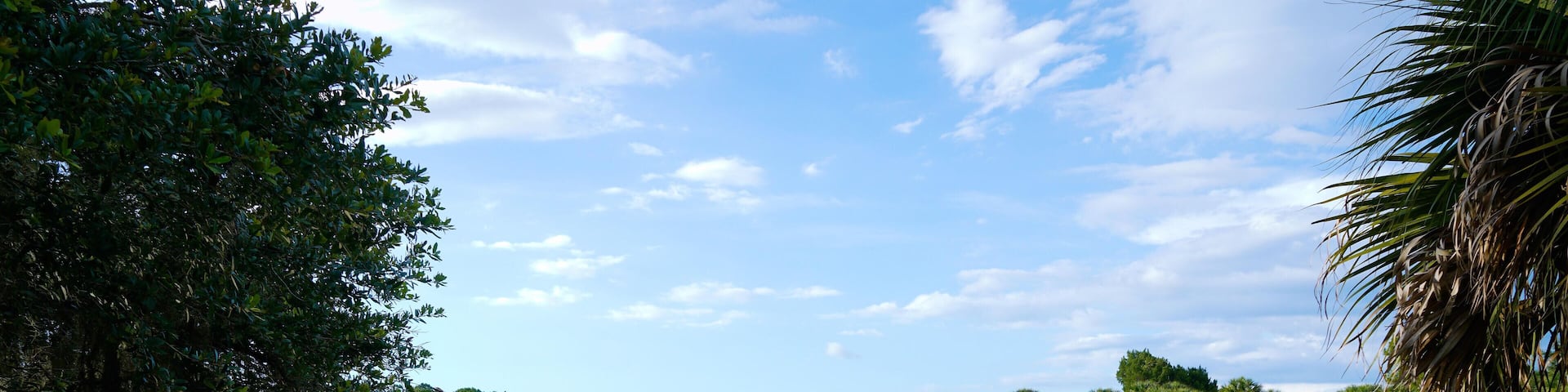 JFM85E All this picture needs is some ripples in the water where you cast your lure.