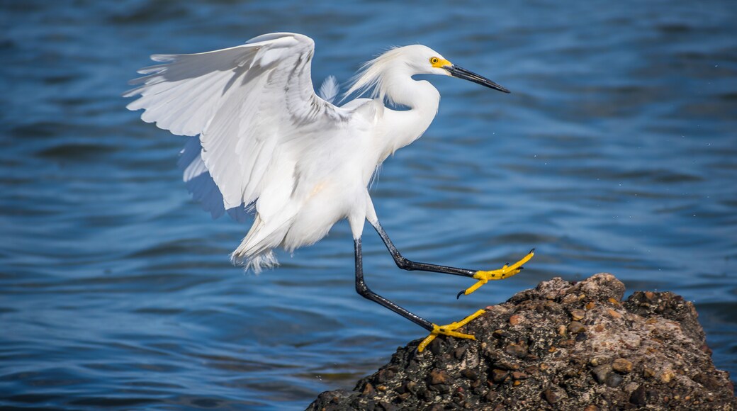ロックポート ビーチ パーク
