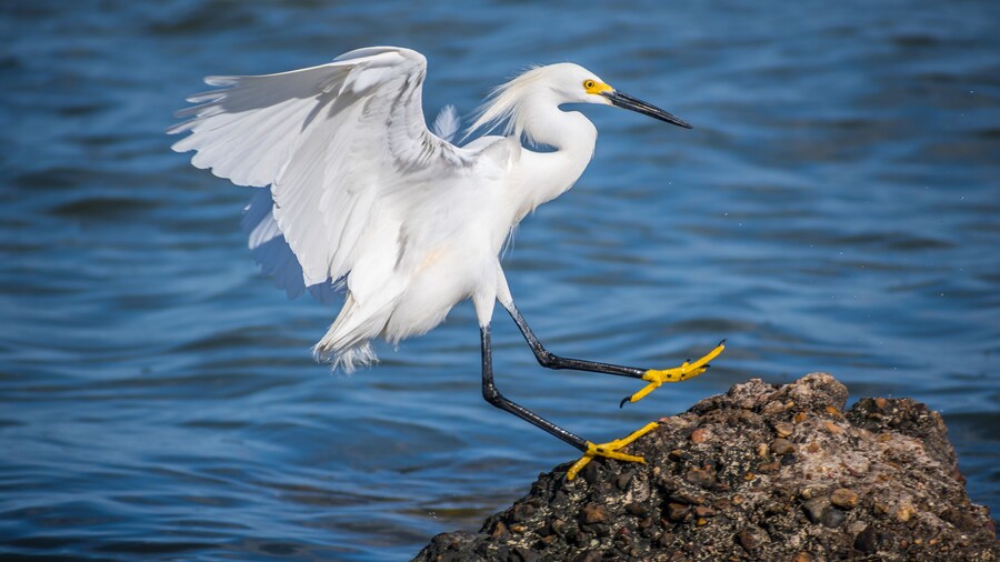 羅克波特海灘公園