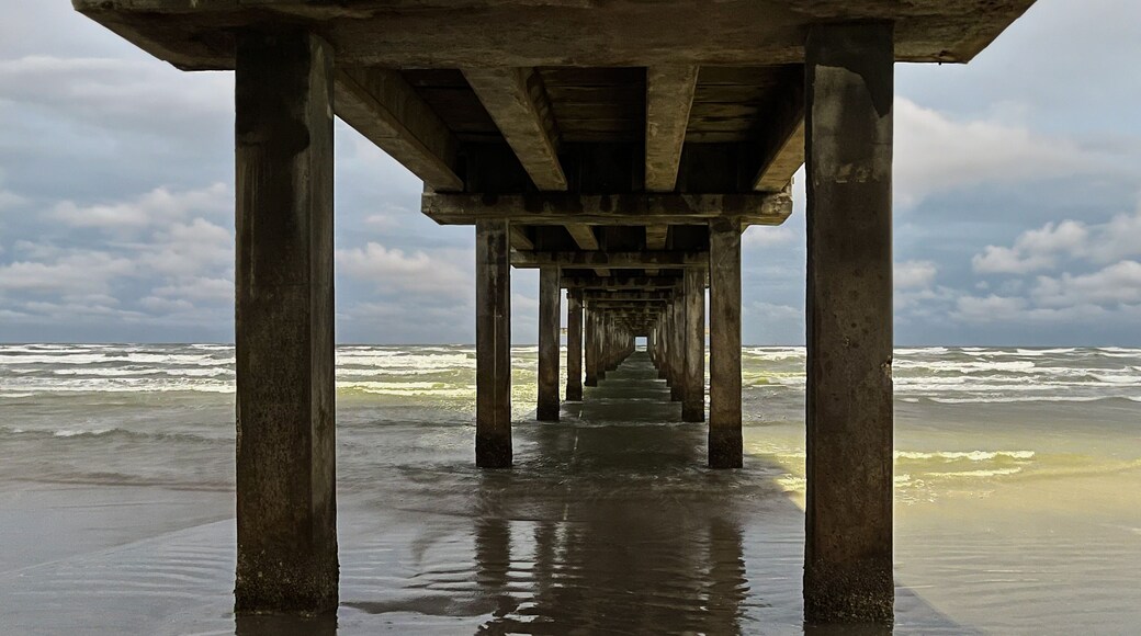 Muelle Horace Caldwell