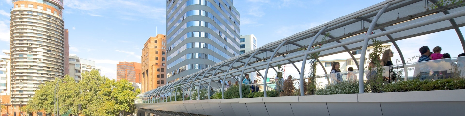 Costanera Center showing a city and a bridge