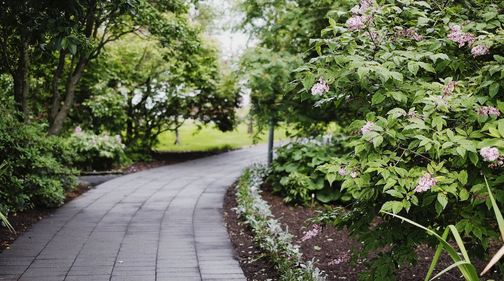 East Texas Arboretum