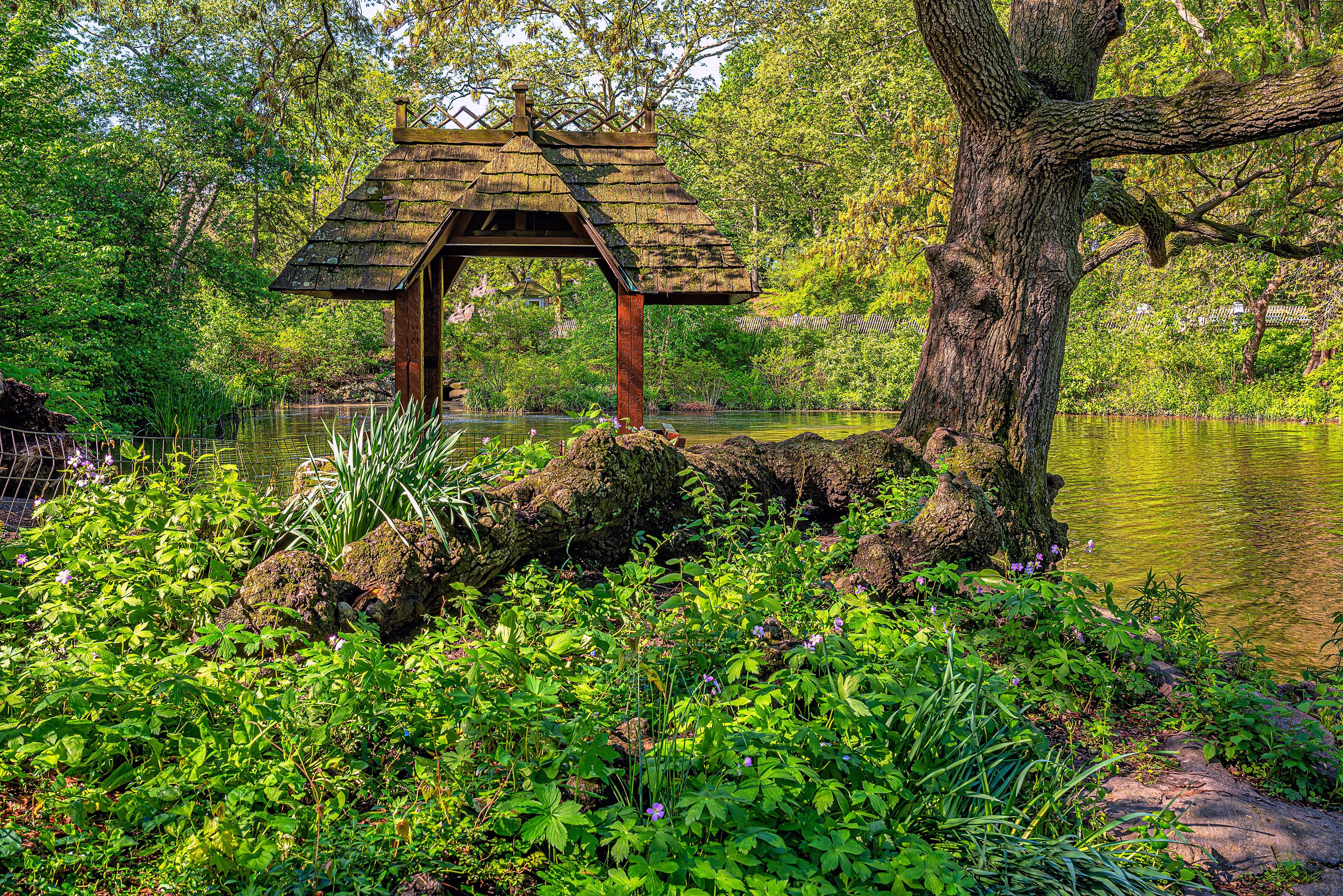 Central Park in spring