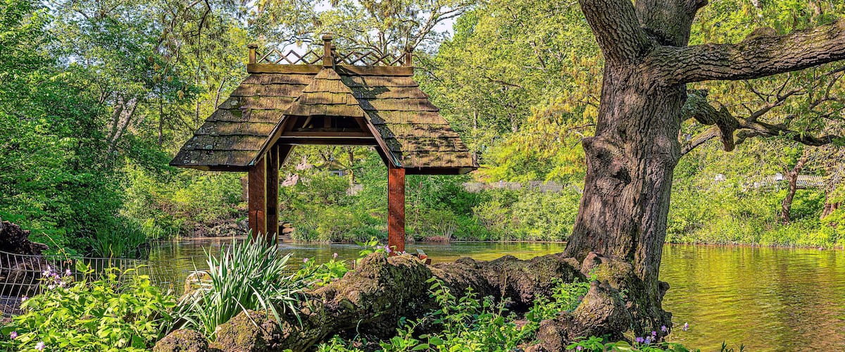 Central Park in spring