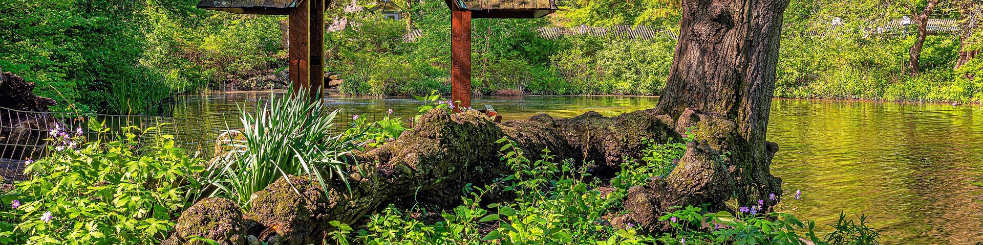 Central Park in spring