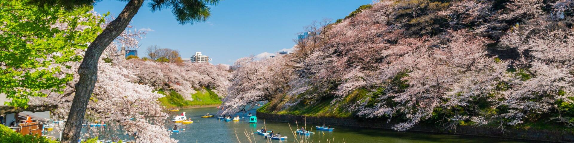 Chiyoda featuring kayaking or canoeing and a river or creek