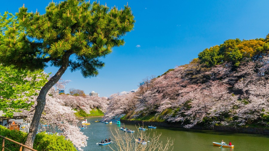 Chiyoda featuring kayaking or canoeing and a river or creek
