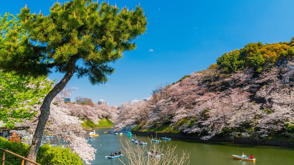 Chiyoda featuring kayaking or canoeing and a river or creek