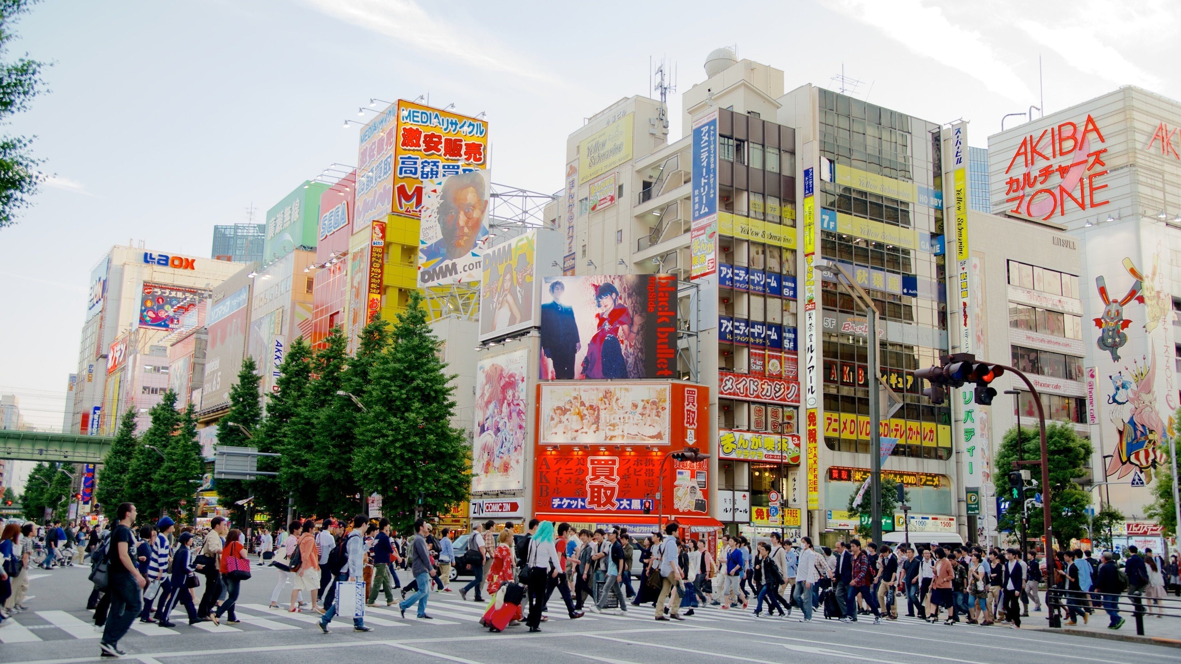 Akihabara Electric Town mit einem zentrales Geschäftsviertel, Beschilderung und Straßenszenen