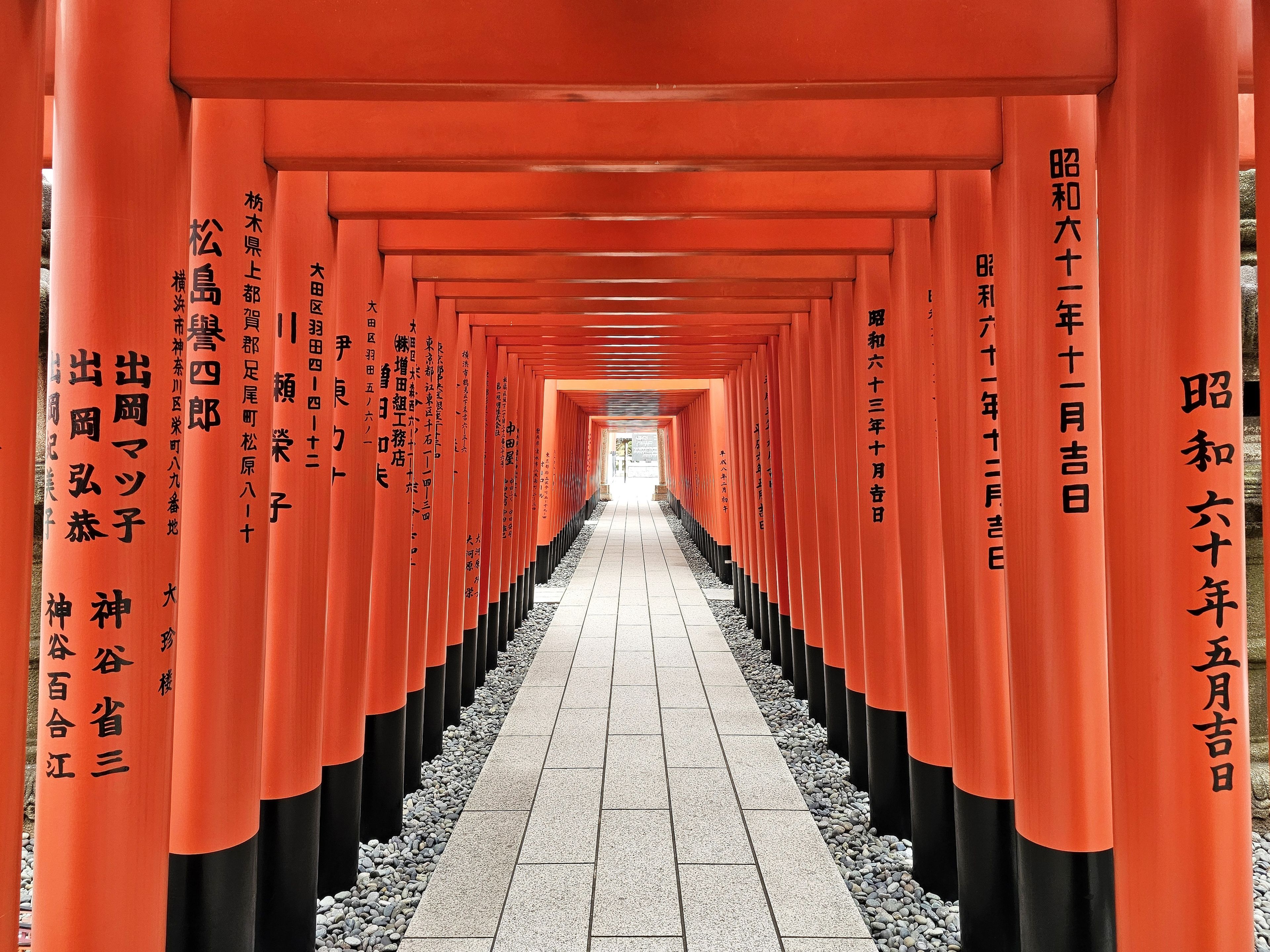 A pathway lined with red torii gates with Japanese inscriptions.
