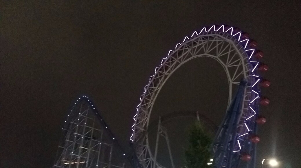 Amusement park in the centre of Tokyo where you can ride the giant Thunder Dolphin roller coaster through a skyscrapper and a ferris wheel. Lots of other good rides and attractions including a horror walk though based on The Ring. Plenty of restaurants and a shopping complex nearby.