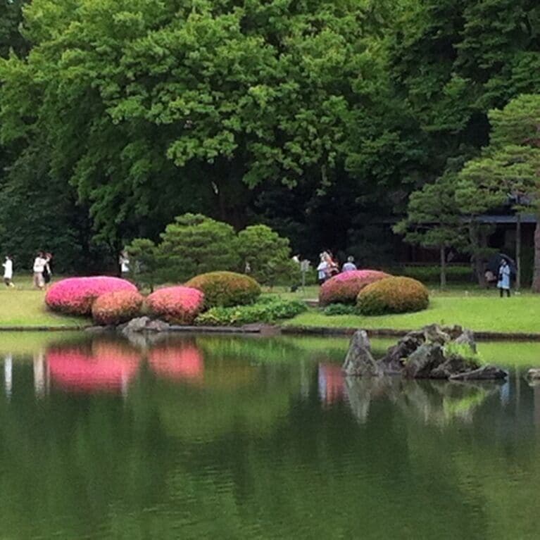 六義園の池泉に映る逆さツツジ